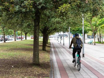 person riding e-bike in park